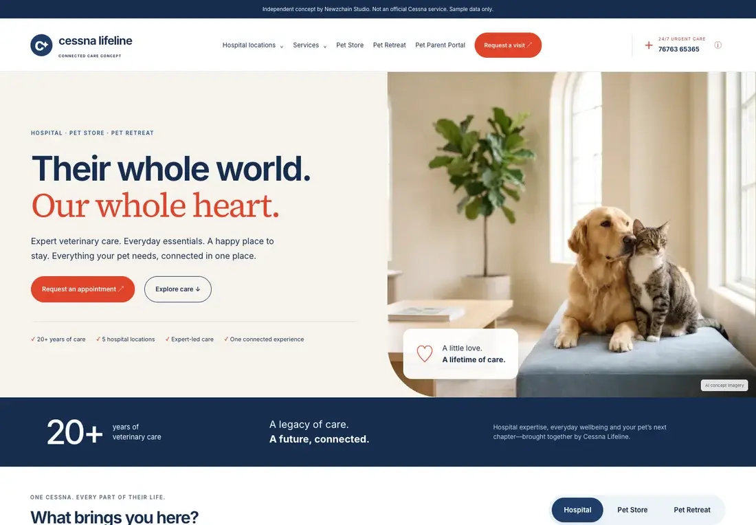 Veterinary care & pet wellbeing concept preview
